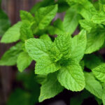 Testi és érzelmi állapotmérés www.allapotmeres.hu